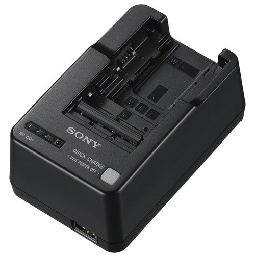 Cargador de batería Sony BC-QM1 InfoLithium