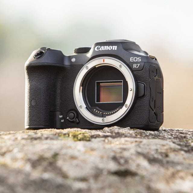 Cámara Canon Mirrorless EOS R7 - Body