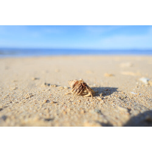 Lente Canon RF 16mm f/2.8 STM