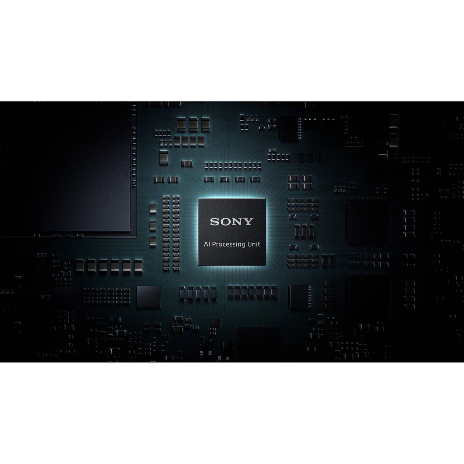 Videocámara Profesional Sony HXR-NX800