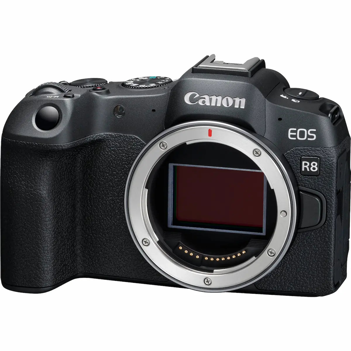Cámara Canon Mirrorless EOS R8 Body