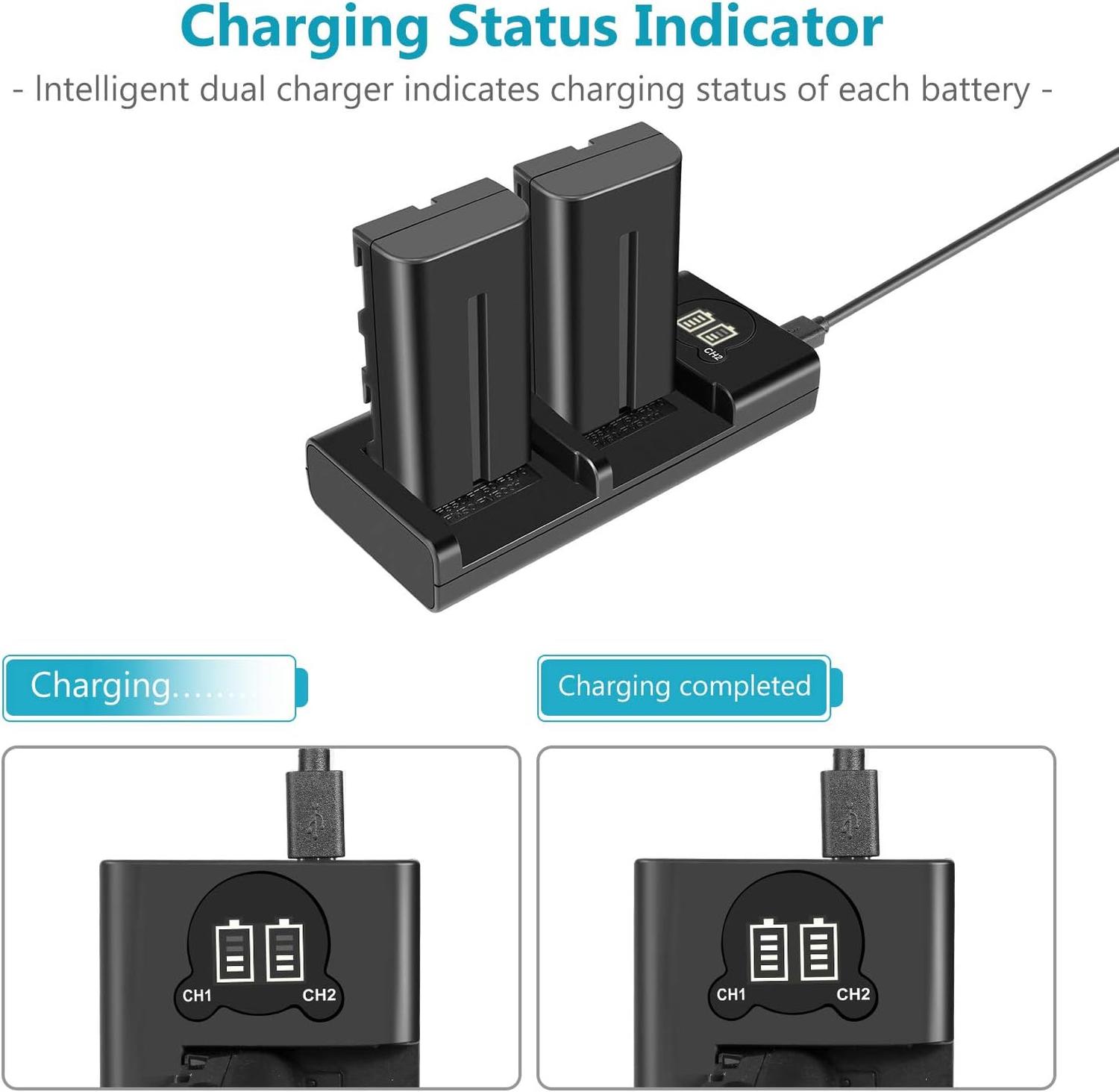 Kit 2 Baterías Neewer NP-F550 2600mAh con Cargador USB Dual