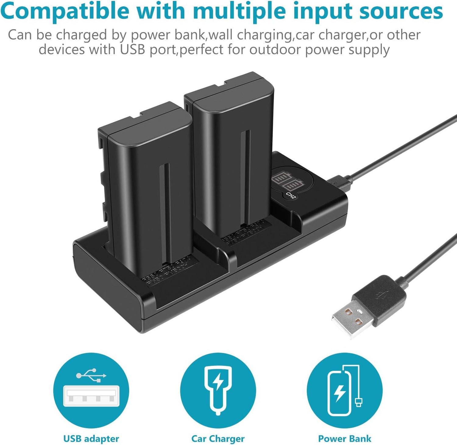Kit 2 Baterías Neewer NP-F550 2600mAh con Cargador USB Dual